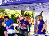 Adoptuj Warszawiaka  Wydarzenie promujące adopcję zwierząt. Organizator: Schronisko dla Bezdomnych Zwierząt "Na Paluchu". 18 sierpnia 2019, Park Raszyński w Raszynie. : park raszyński, adoptuj warszawiaka, na paluchu, schronisko dla zwierząt, centrum warszawy, raszyn
